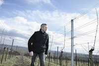 WEINGUT - SEKTGUT - DESTILLERIE ANDREAS DIEHL