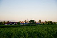 Weingut Erich Braun & Söhne