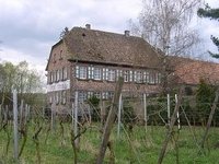 Weingut u. Weinstube Erlenmühle