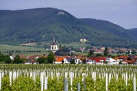 Weingut Klaus Habermehl