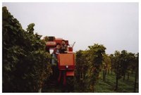 Weingut Erich Braun & Söhne