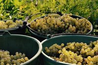 Weingut Erich Braun & Söhne