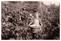 Weingut Erich Braun & Söhne